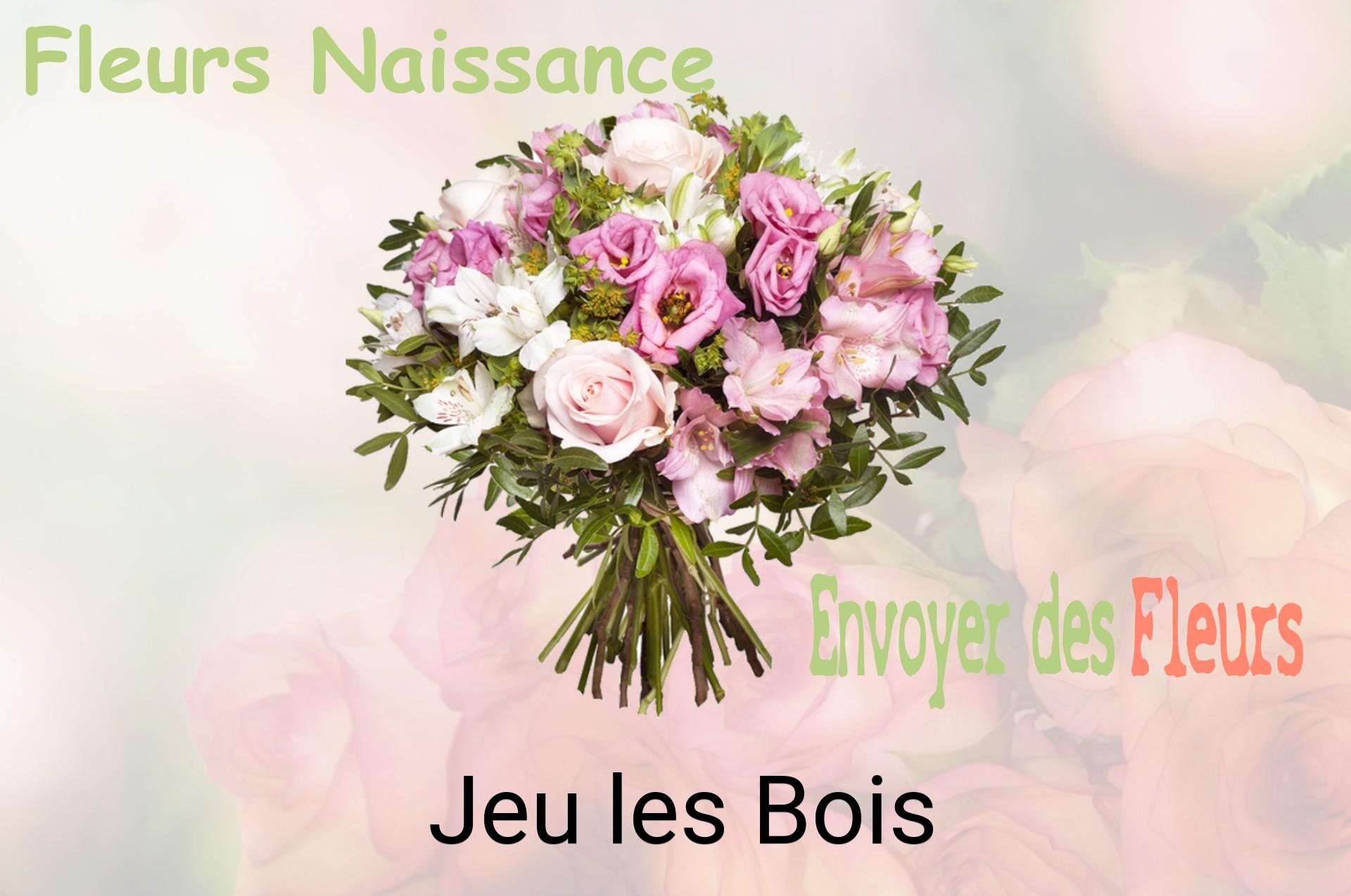 Bouquet de fleurs de naissance livré à Jeu-les-Bois